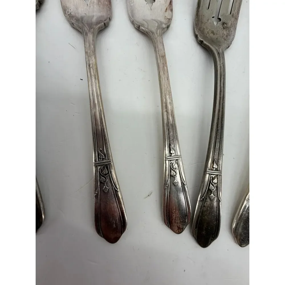 Oneida item details